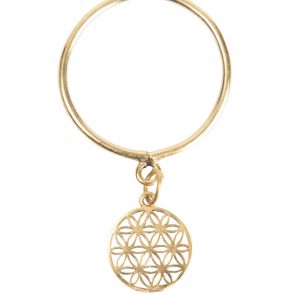 Flower of life ring for dog or cat or key door 5